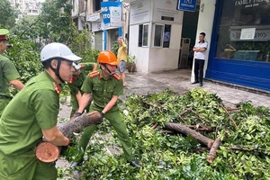 Công an phường Lý Thái Tổ phối hợp các lực lượng giải tỏa cây xanh bị gãy, đổ trên địa bàn quận Hoàn Kiếm. 