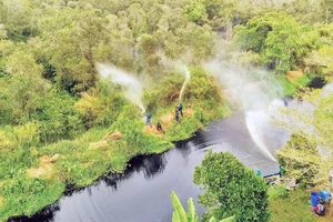  Lực lượng Kiểm lâm Cà Mau diễn tập phòng cháy, chữa cháy rừng tại Vườn Quốc gia U Minh Hạ.
