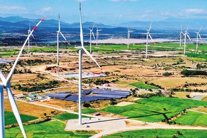 “Cánh đồng” điện gió tại tỉnh Ninh Thuận. (Ảnh: Ngọc Hà)