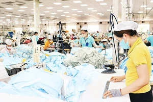 Khu công nghiệp VSIP Quảng Ngãi giải quyết việc làm cho gần 30.000 lao động, trong đó chủ yếu là lao động địa phương. 