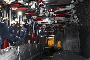 Công nhân khai thác than tại lò chợ cơ giới hóa đồng bộ Công ty Than Hà Lầm (TKV).