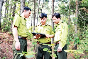Cán bộ Hạt Kiểm lâm Phúc Yên sử dụng ảnh vệ tinh để quản lý rừng. 