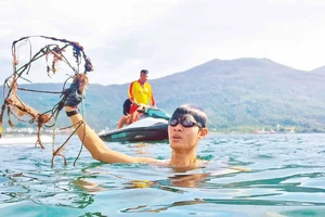 Lặn biển nhặt rác, giải cứu san hô 