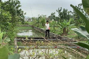 Mô hình trang trại đa canh của anh Vũ Ngọc Tú (thôn Nham Tràng, xã Thanh Tân, huyện Thanh Liêm)