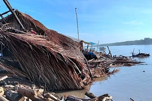 Khu vực sạt lở thuộc ấp Nhà Hội (xã Tam Giang, huyện Năm Căn) làm hư hỏng 4 nhà dân vào rạng sáng 23/5.