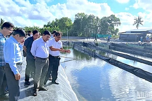 Ủy viên Trung ương Đảng, Bí thư Tỉnh ủy Cà Mau Nguyễn Tiến Hải (thứ 2 từ phải qua) khảo sát Dự án nuôi tôm an toàn sinh học vào sáng 21/2.