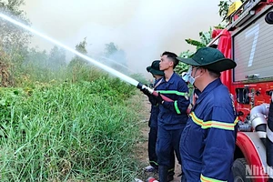 Lực lượng chức năng tiếp tục phun nước dập cháy ngún tại Nông trường 402 vào sáng 11/4.