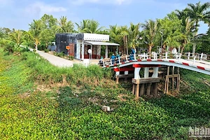 Kênh rạch vùng ngọt huyện Trần Văn Thời (tỉnh Cà Mau) khô cạn nước vì hạn hán.