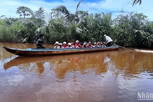 Học sinh miệt rừng huyện U Minh (tỉnh Cà Mau) nô nức đến trường vào dịp khai giảng năm học mới.