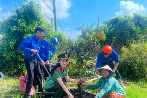 Lực lượng đoàn viên, thanh niên Cà Mau ra quân trồng cây vú sữa vườn nhà tại vùng quê huyện Thới Bình, phục vụ tái hiện sự kiện 200 ngày tập kết ra Bắc.