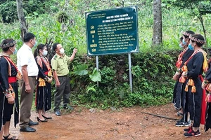 Tuyên truyền việc bảo vệ rừng tại huyện Lục Yên, tỉnh Yên Bái.