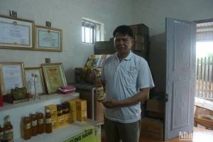Ông Đặng Thanh Tùng – Giám đốc HTX Mật ong Tùng Hằng, người khởi xướng thành lập mô hình HTX giúp thúc đẩy và phát triển nghề nuôi ong tại địa phương.