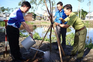 Lãnh đạo tỉnh Hậu Giang tham gia trồng 100 cây Lộc Vừng lá nhỏ trên đường Kênh 62, phường 4, thành phố Vị Thanh.