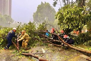 Các lực lượng chức năng chung tay khắc phục hậu quả sau bão tại Bắc Ninh.