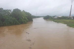 Do mưa lớn nhiều ngày, nước sông Bứa tại huyện Thanh Sơn dâng cao đe dọa đến tính mạng và tài sản của người dân.