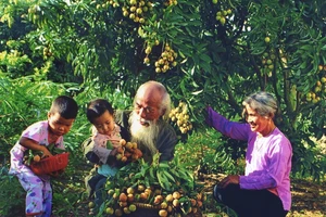 Truyền thống gia đình là nét đẹp văn hóa Việt Nam.