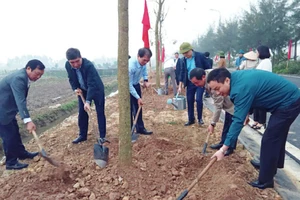 Các đồng chí lãnh đạo tỉnh Hải Dương trồng cây trên đường trục giao thông chính tại xã An Sơn, huyện Nam Sách.