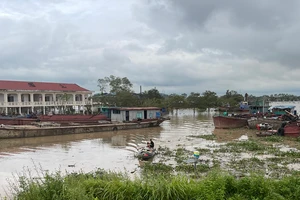 Mực nước trên hệ thống sông Thái Bình, sông Luộc ở Hải Dương đang ở mức báo động 2.