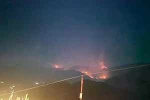 Đám cháy được phát hiện tại Tiểu khu 286, khu vực Nà Háng thuộc thôn Séo Mý Tỷ, xã Tả Van, thị xã Sa Pa.
