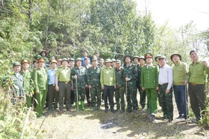 Lãnh đạo tỉnh Lào Cai trực tiếp vào hiện trường kiểm tra, chỉ đạo công tác chữa cháy rừng tại xã Tả Van, thị xã Sa Pa (Lào Cai).