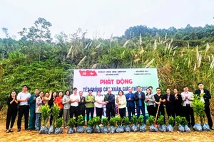 Các xã, phường địa phương tại Lào Cai hưởng ứng tích cực "Tết trồng cây".