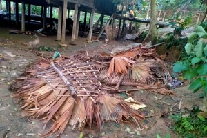 Một nhà dân ở huyện Văn Bàn (Lào Cai) bị tốc mái.