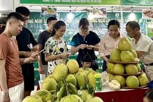 Trái cây là sản phẩm được người tiêu dùng Thủ đô tiêu dùng với số lượng lớn.