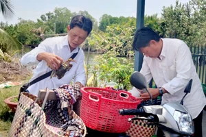 Thương lái thu mua cua của nông dân huyện Vĩnh Thuận, tỉnh Kiên Giang.