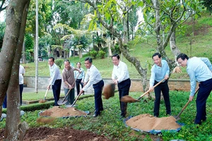 Ủy viên Bộ Chính trị, Bí thư Trung ương Đảng, Trưởng ban Nội chính Trung ương trồng cây lưu niệm tại Quảng trường Đại đoàn kết, TP PleiKu, Gia Lai.