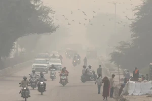 Trên đường phố vào buổi sáng ở New Delhi. Ảnh: Reuters.