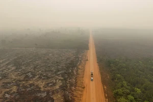 Hình ảnh chụp bằng máy bay không người lái cho thấy cảnh khói, cháy rừng Amazon ở Labrea, bang Amazonas, Brazil. Ảnh: REUTERS