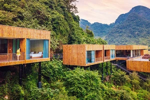 Khu lưu trú Tú Làn Lodge được thiết kế theo mô hình nhà nổi Tân Hóa để phục vụ khách du lịch trong mùa lũ.