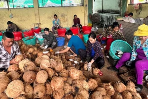 Hợp tác xã nông nghiệp Thới Thạnh (huyện Thạnh Phú) đang xây dựng mô hình kiểu mới.