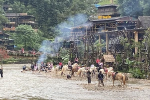 Khu du lịch Cát Cát (Sa Pa) đang hồi sinh.