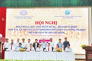 Đại diện Ngân hàng Nông nghiệp và Phát triển nông thôn Việt Nam (Agribank) ký kết hợp đồng tín dụng với các doanh nghiệp trên địa bàn thành phố.