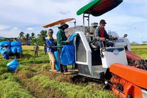 Hợp tác xã Nông nghiệp kinh doanh dịch vụ Hòa Phú, huyện Tây Hòa (Phú Yên) tập trung thu hoạch lúa hè thu. (Ảnh NGỌC HÂN)