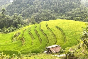 Cảnh quan hùng vĩ và tươi đẹp của vùng Đông Bắc luôn thu hút khách du lịch.