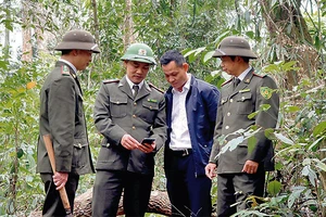 Cán bộ Hạt kiểm lâm rừng đặc dụng Cham Chu sử dụng phần mềm Locus Map giám sát hoạt động tuần tra bảo vệ rừng.