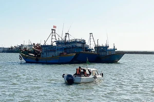 Khu neo đậu tránh, trú bão cấp vùng - cảng cá Phú Hải đưa vào hoạt động giúp tàu, thuyền an toàn mỗi khi có bão.