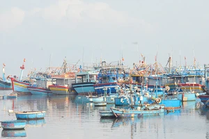 Tại Bình Định vẫn còn khá nhiều tàu cá thuộc diện “3 không”.
