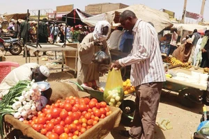 Sudan đang phải chật vật bảo đảm an ninh lương thực. (Ảnh: REUTERS)