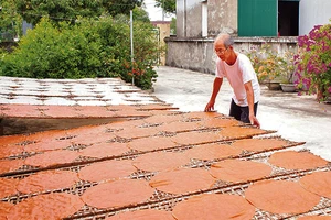 Nghề làm bánh đa truyền thống tại thôn Phong An, xã Khánh Thiện, huyện Yên Khánh. (Ảnh: HOÀNG HIỆP)