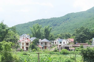Nhiều hộ gia đình ở thôn Bản Quầy, xã Bắc Xa, huyện Đình Lập (tỉnh Lạng Sơn) xây được nhà kiên cố nhờ phát triển trồng rừng thông.