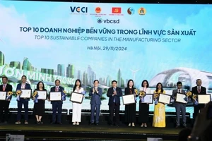 Cao-su Chư Păh nằm trong Top 10 Doanh nghiệp bền vững lĩnh vực sản xuất (đại diện Cao-su Chư Păh ngoài cùng bên trái).