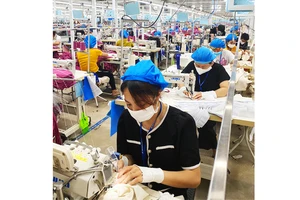 Nhiều nhà máy may mặc xuất khẩu được doanh nghiệp nước ngoài đầu tư tại huyện Diễn Châu.