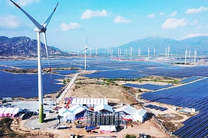Nhà máy điện gió ở Ninh Thuận.