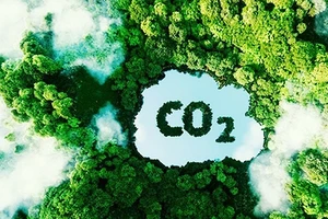 Đề xuất đấu giá thí điểm 4,91 triệu tấn CO2 còn dư
