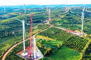Nhà máy điện gió Ea Nam Đắk Lawsk. Ảnh: EVN