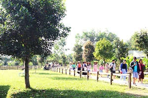 Banarita farm đang là điểm đến thu hút đông du khách Đà Nẵng.