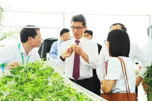 Ông Kohno Sunji, Tỉnh trưởng tỉnh Miyazaki (Nhật Bản) tham quan khu nhà lưới công nghệ cao tại Học viện Nông nghiệp Việt Nam.